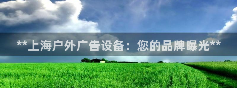 杏宇平台代理：**上海户外广告设备：您的品牌曝光**