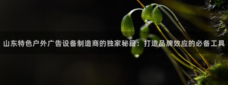 杏宇平台代理：山东特色户外广告设备制造商