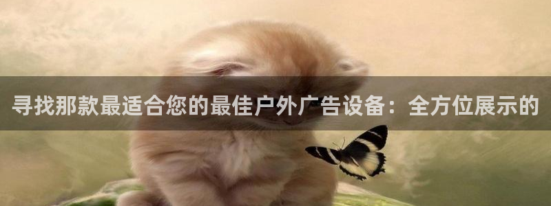 杏宇平台代理多少钱：寻找那款最适合您的最