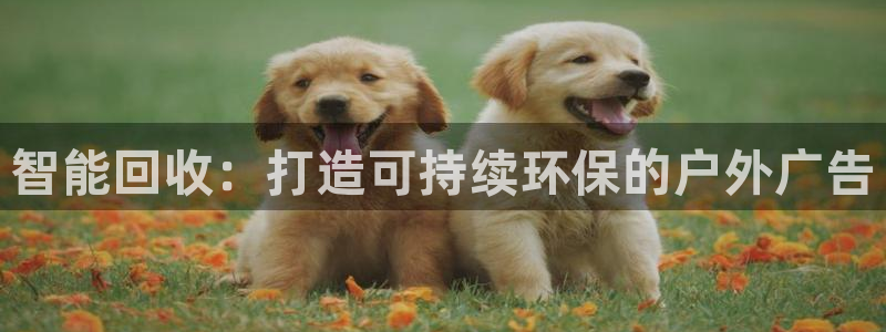 杏宇平台怎么样：智能回收：打造可持续环保的户外广告
