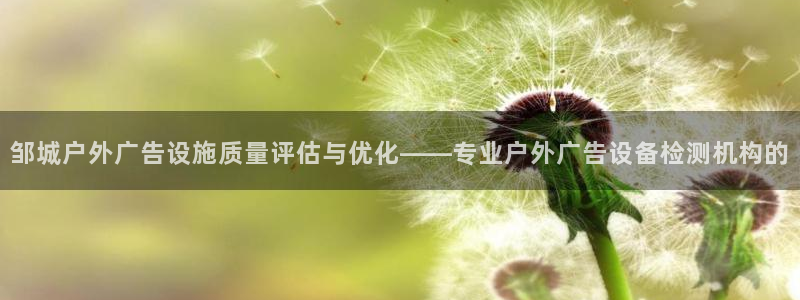 杏宇平台注册登录：邹城户外广告设施质量评